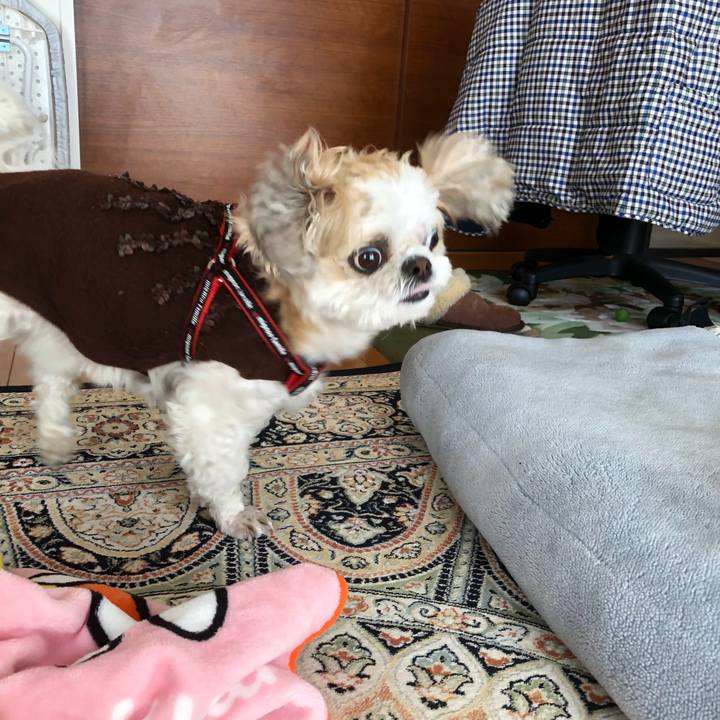 58094a14 561e 4bda 8ace 8ac4f9eb688e 1548625593698