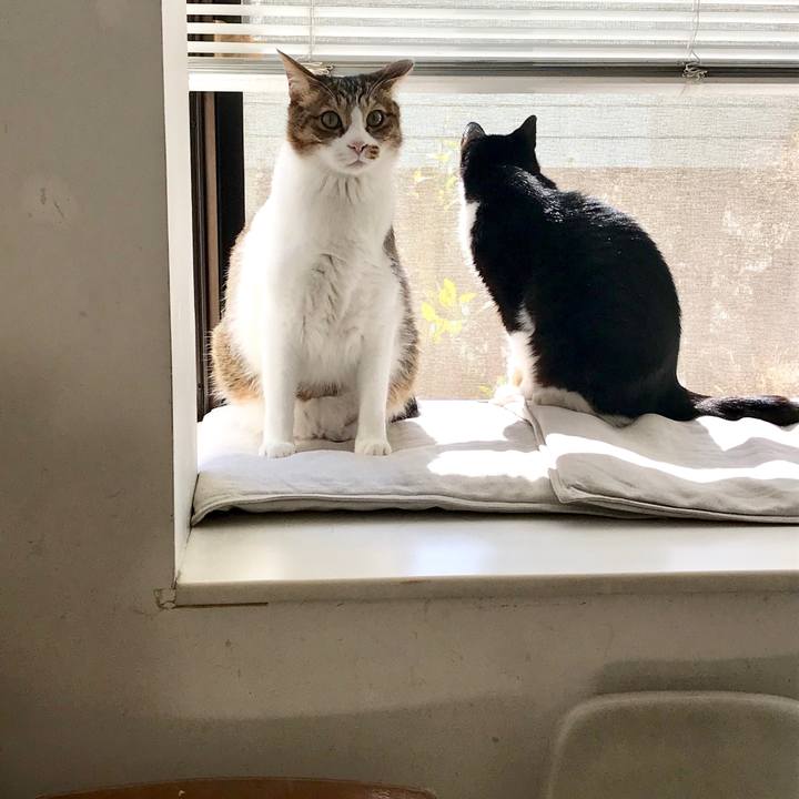 5809673f 7a4e 4194 a531 b9fc05cd2aaa 1519956261772