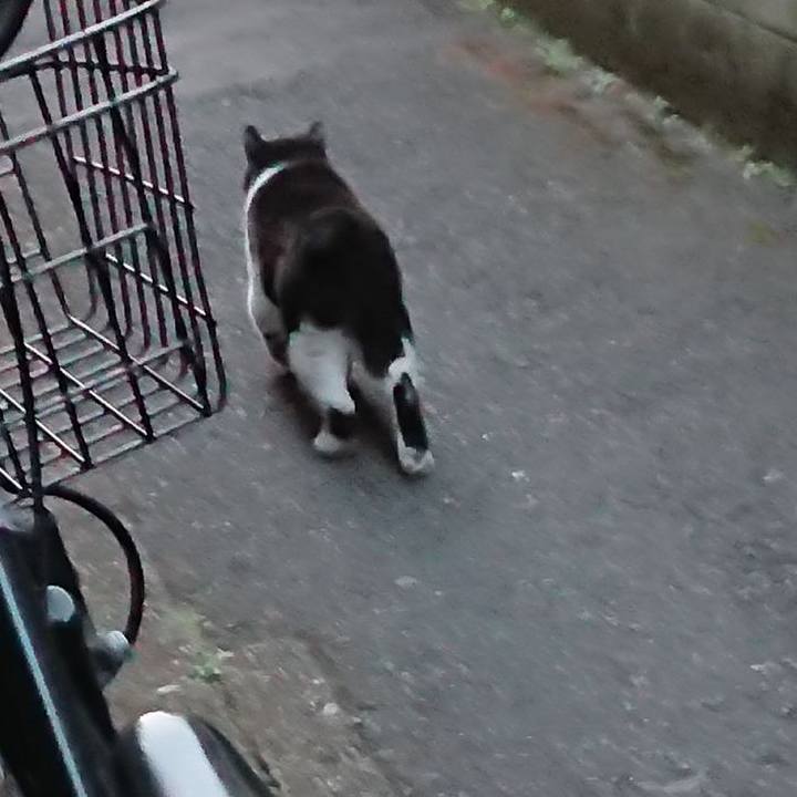 5809ba8a 69d0 4e94 a1d6 79774385c50c 1677920520584