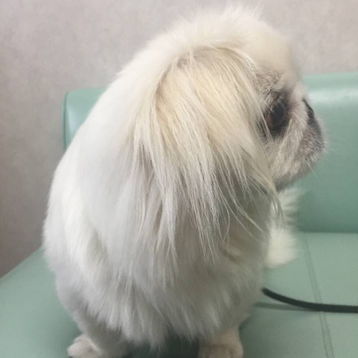 5809df80 e332 469b 94ba 3d9f5c6d10d2 1530666811876