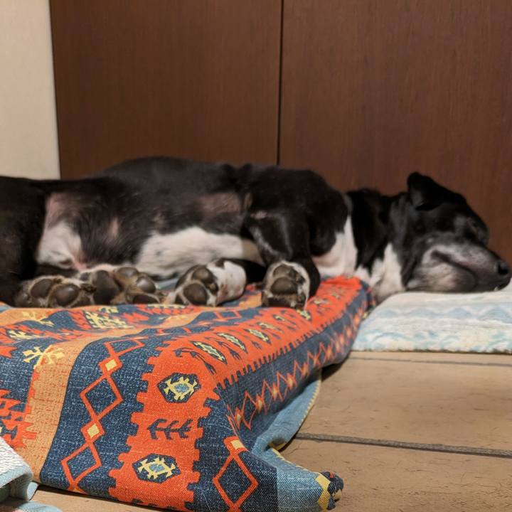 5809f1ad 86c3 461d a92f b6d16fdf5d32 1715512618362