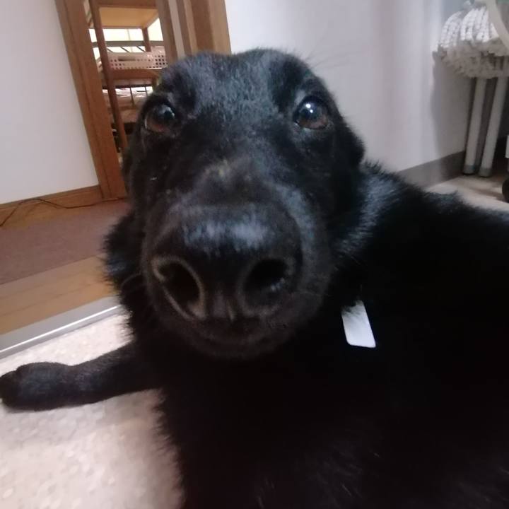 580a038c 6422 401b acf2 bee546b4a557 1622067152719