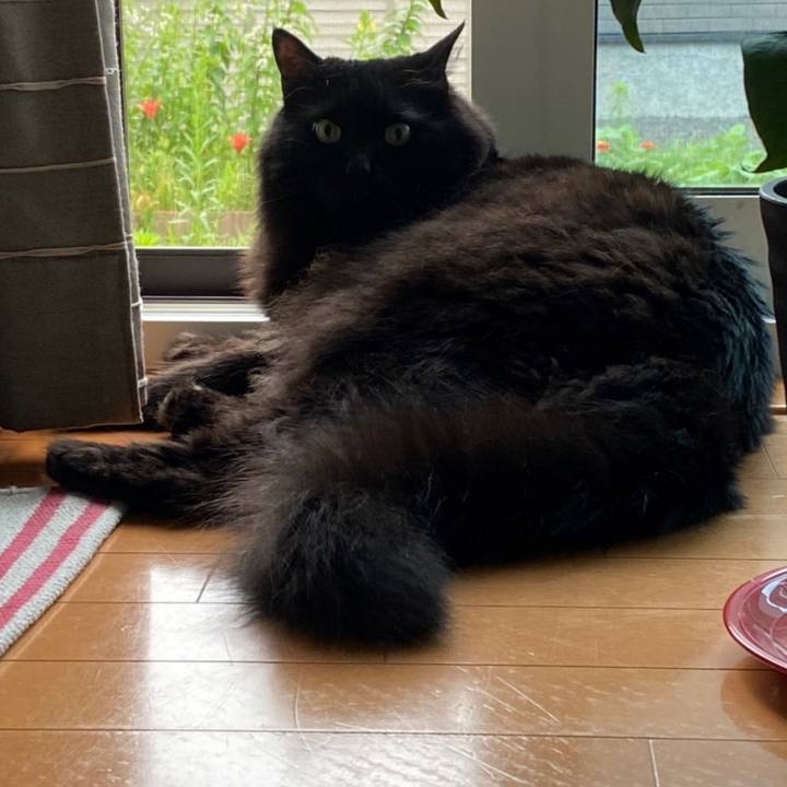 580a3c04 e492 46b0 a6df 2948d9ada6b4 1657973360996