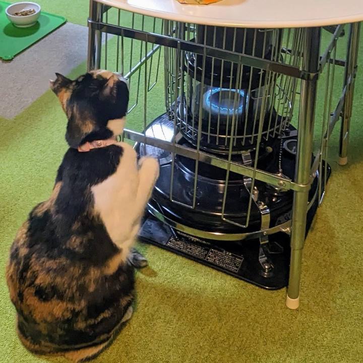 580a4dd5 78ac 4008 a404 f9c80a58a5c9 1771370486178