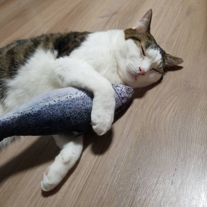 580a9f7f 388b 4dfc bcae f0a64d1bbd72 1579005513280