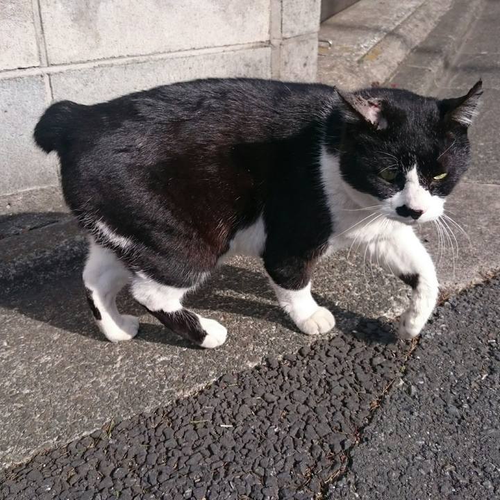 580adcb7 1735 47fe b3a0 023911c91dc6 1518411237549