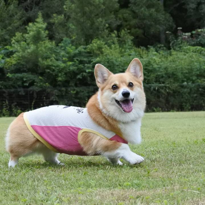 580af5da e91f 4ea2 bd67 1f413f3a525d 1605597588183