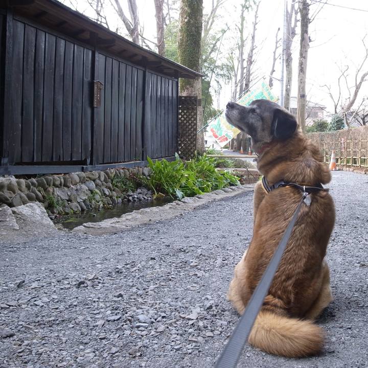 580b446a 6df6 4def b74f de864d50561b 1584787258669