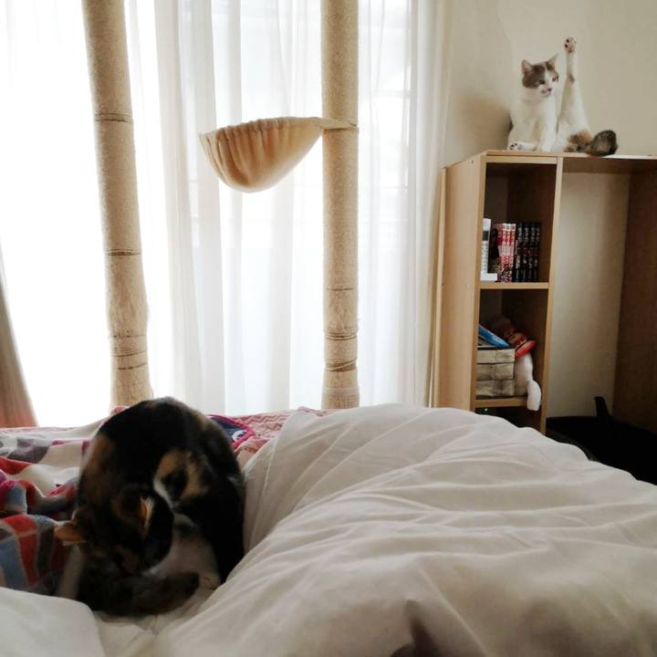 580b58c3 2872 4fe3 abb8 02931e954c82 1607782306751