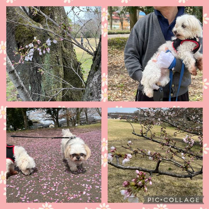 580ba9e5 705d 4b0d bd6e cfd813a9c3d3 1712457139208