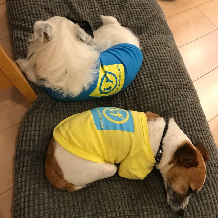 580bb0c2 692d 4ea2 854f 1ccf3dcf33be 1529160386145