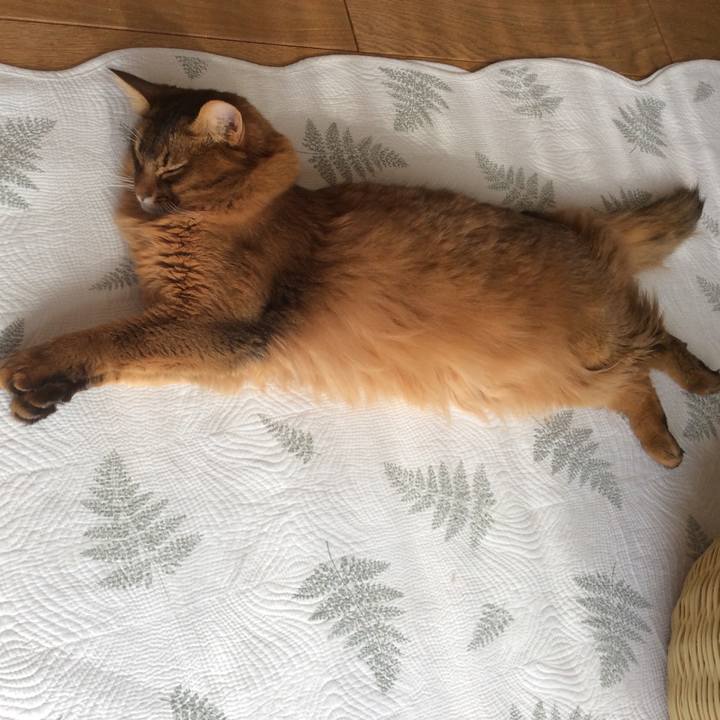 580c09e8 18b6 4797 952d cbde854d3626 1610711238117