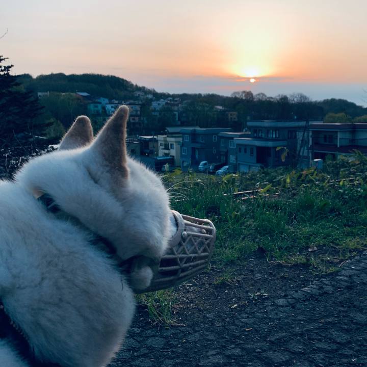 580c0fd7 2ebf 4d9e ae24 f639d0473ef4 1651696164412