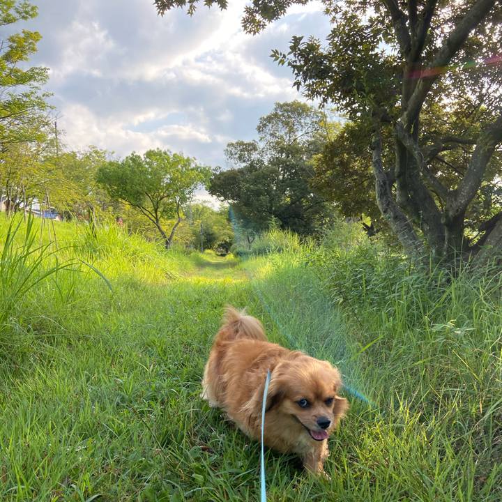 580c1f06 d1f6 46a0 85a8 11343a46c653 1598138107667