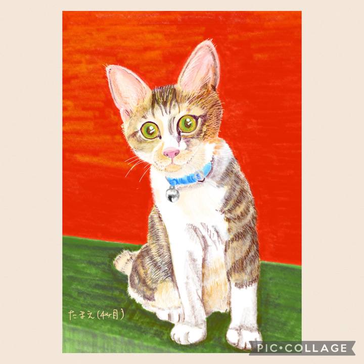 580c8226 effc 44bd ac42 b23a5b60dc4d 1659641979251