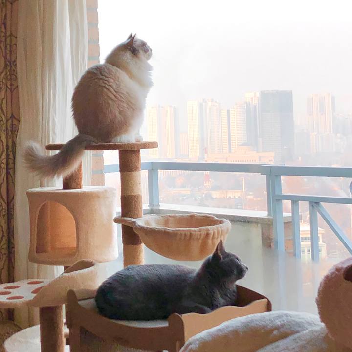 580c9c89 1986 4afb be09 33030a379559 1609419951214