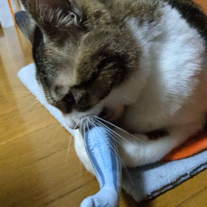 580cb49d 2048 4c63 b488 d201e31bdd11 1703382981524