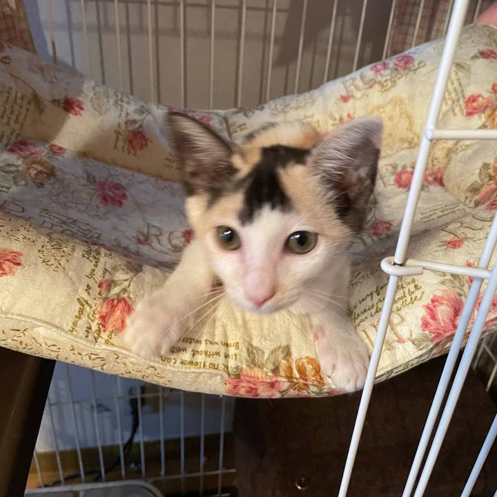 580cd0c5 69f6 4d88 ac11 31ae1257e137 1658145199741