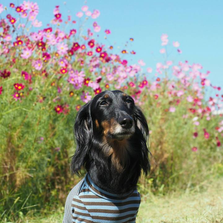 580cfe56 096a 4639 a92d 05c64ca66c34 1602045469792