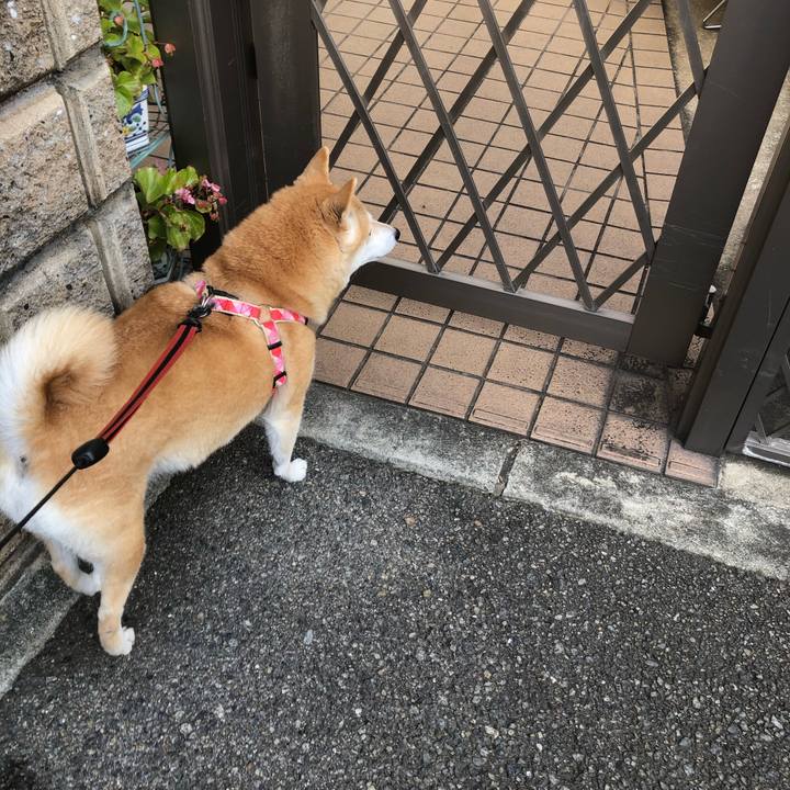 580d1377 e45a 4adf b10b cd468db306fe 1607583947231