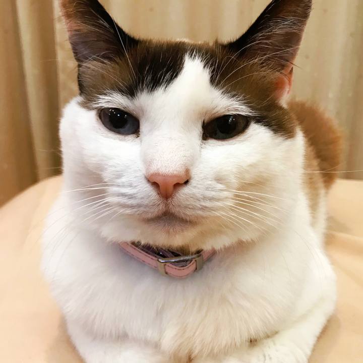 580d14e5 7f61 4c63 a40b a29fddec9540 1520252943062