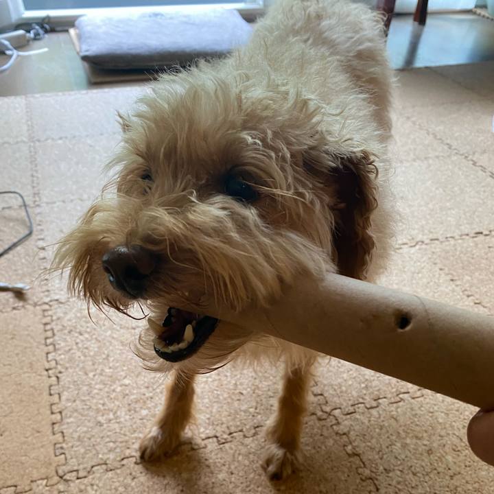 580d1f24 aae3 4675 903e 31761784b4f3 1693434660742