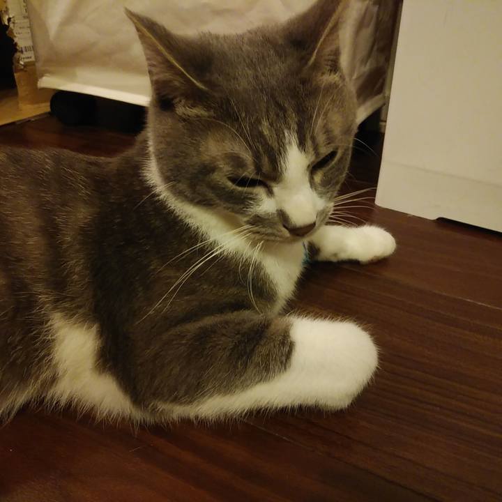 580d3665 50d8 4049 859a 2942d0f09da2 1589463383742