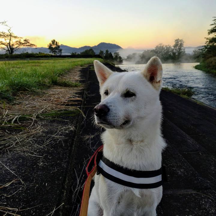 580d376c 40c1 4405 ae5f bc6c70cffb40 1634512160810