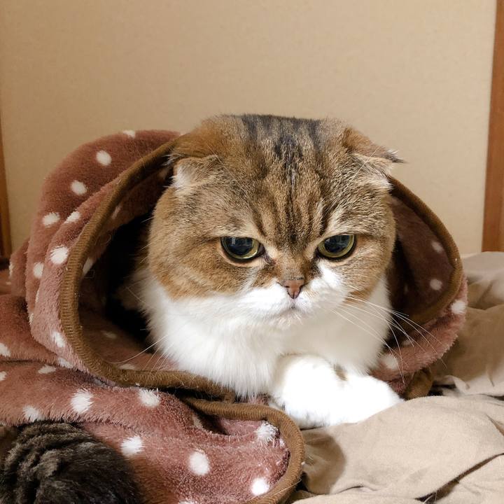 580d4a4b 0ce6 491f ba9b f30c9692ea04 1602076330889