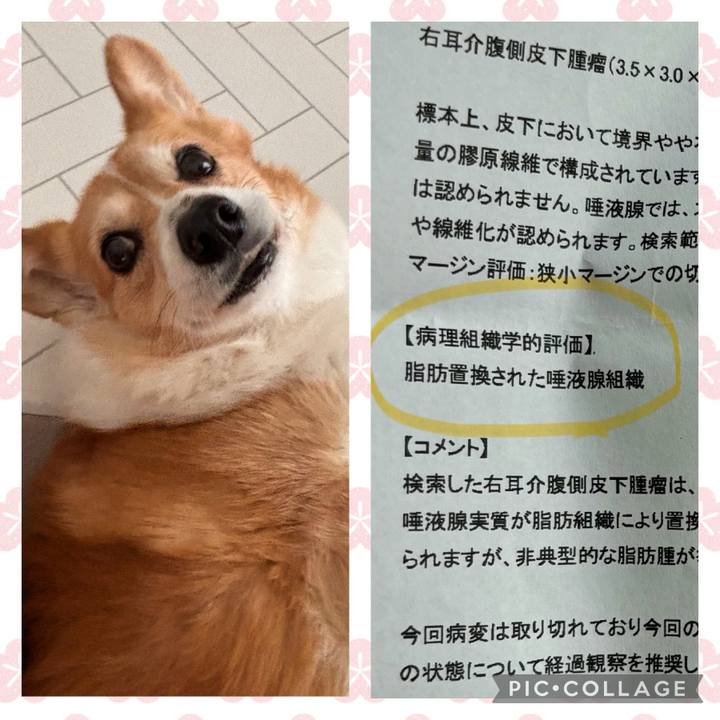 580d5ba2 9650 46fd 83ab 692544baba84 1772496270832