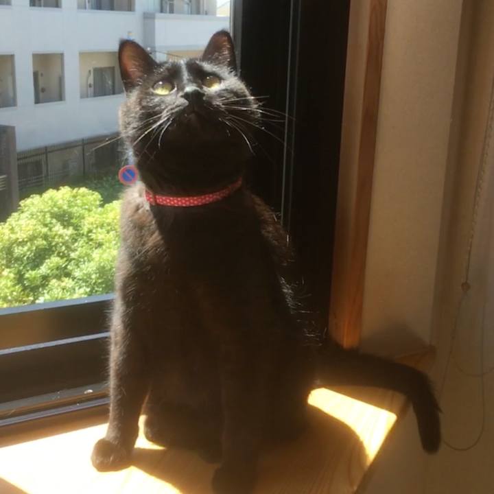 580d6614 299e 424a 9c80 5fc98a7f70bf 1526974253564