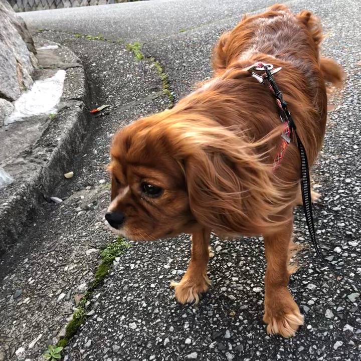 580d7aaa 2904 4302 955d a28b6a2389e7 1587199114814