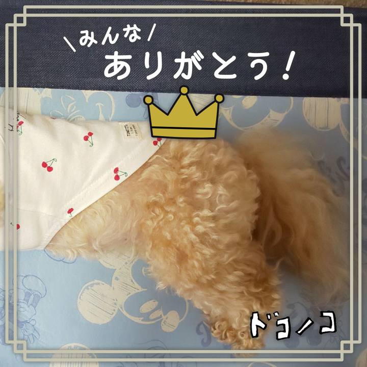 580daed4 2083 4875 8e0e b35a68c12baf 1623368437673