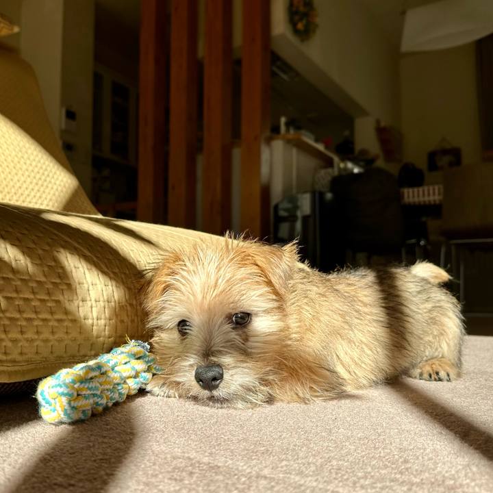 580dc996 f304 4671 a51f be1243f10b67 1703253801707