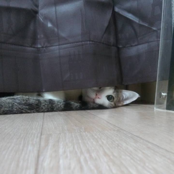 580dcce0 34fd 420e 97b1 239dd380a26a 1660630350538