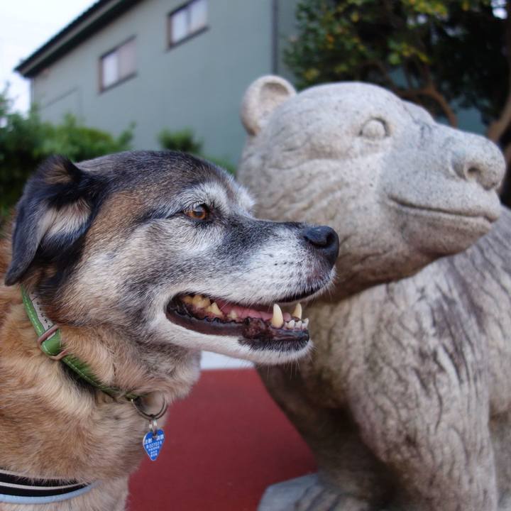 580df23d 60ea 4b8a a923 91318605b8b3 1667436524635