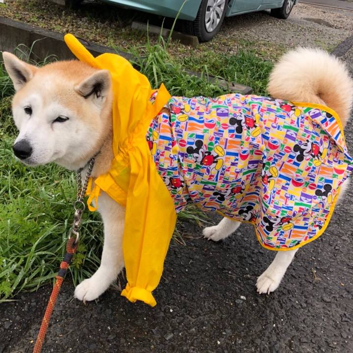 580df311 6624 4c3b a046 9ef256860cf8 1554888002790