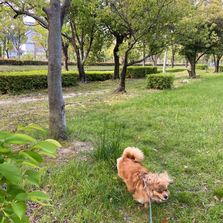 580e04bf 425e 439e 811c 9f7a35c6040b 1588284637942