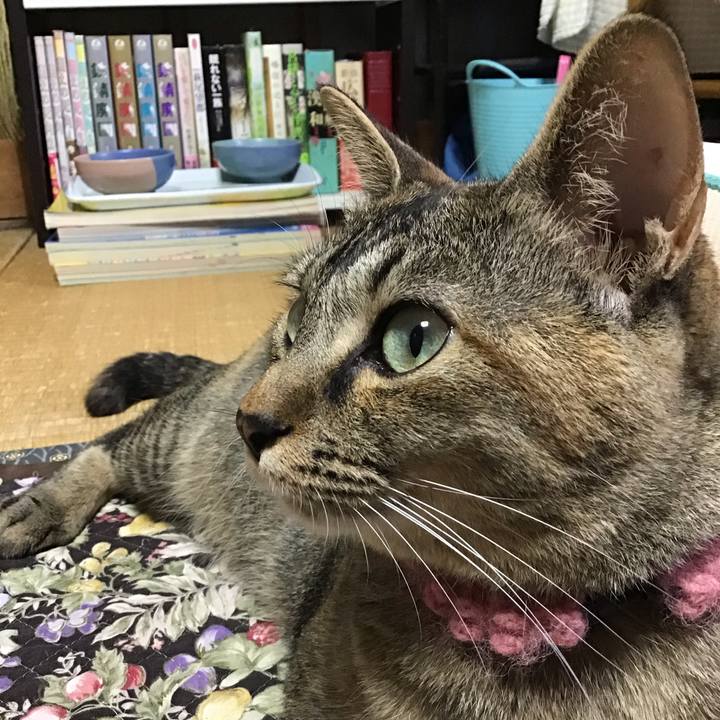 580e0ba5 ad02 45b5 923e 67cd4ebae225 1594889632809