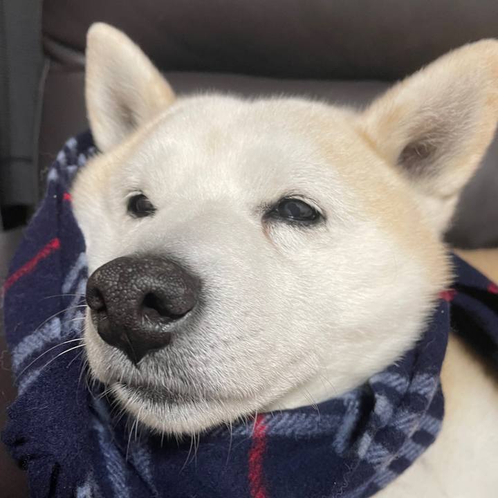 580e251f 2514 4e0f 97d4 aa351da752f4 1644484518632