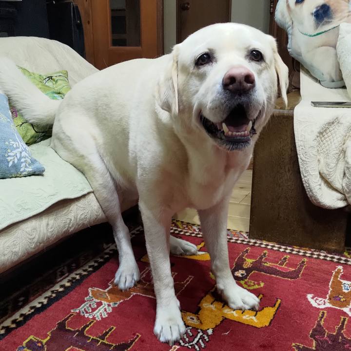 580e3e83 f69e 4896 919f 6624cc988c28 1686831593596