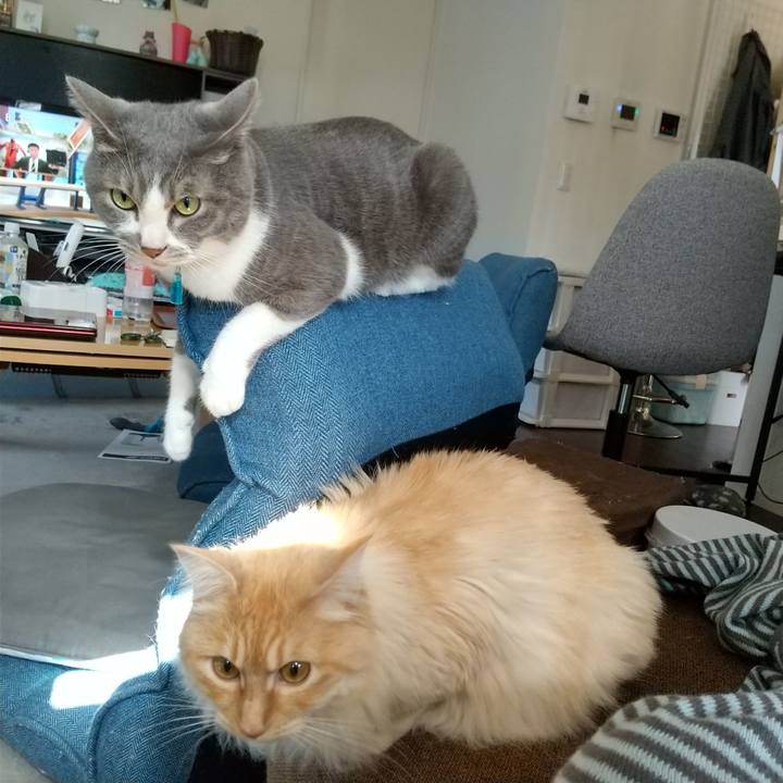 580e5128 0d3b 4e64 9ffe 397037955741 1651286243735