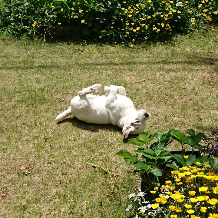 580e7f03 bd5f 4903 aaa7 4ef3475fc380 1557444585644