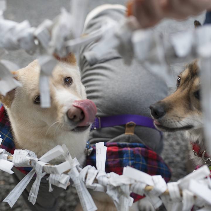 580e84ed 6adc 4819 a9b5 96617372489a 1546871540424