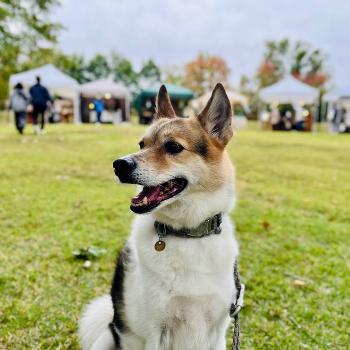 580e8758 66eb 4fc6 981f 2b500e799dfe 1759455664606