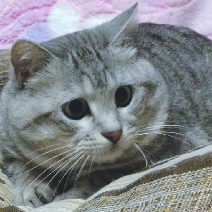 580efc9b 7846 4986 8d5a 8f562f3dc4df 1583397765465