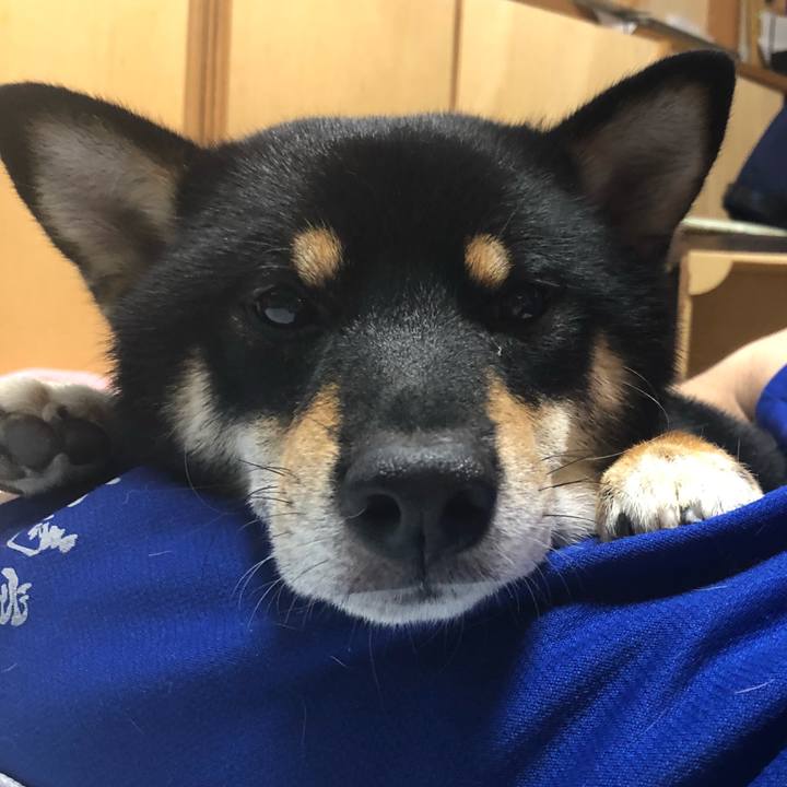 580f3b14 b616 45e0 ad5a adab89bf7f94 1541926813440