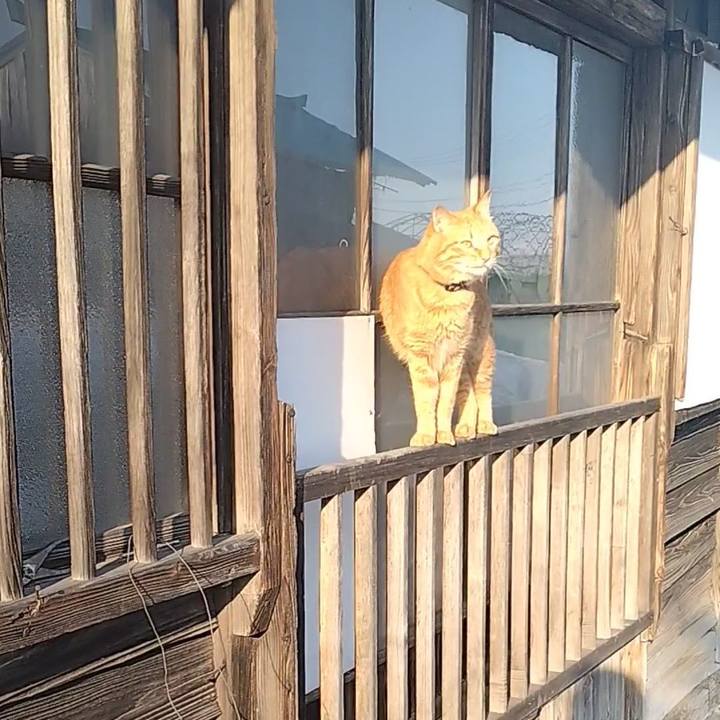 580f3b62 c596 4b1a a58c 9a47ed58be9b 1677658634815