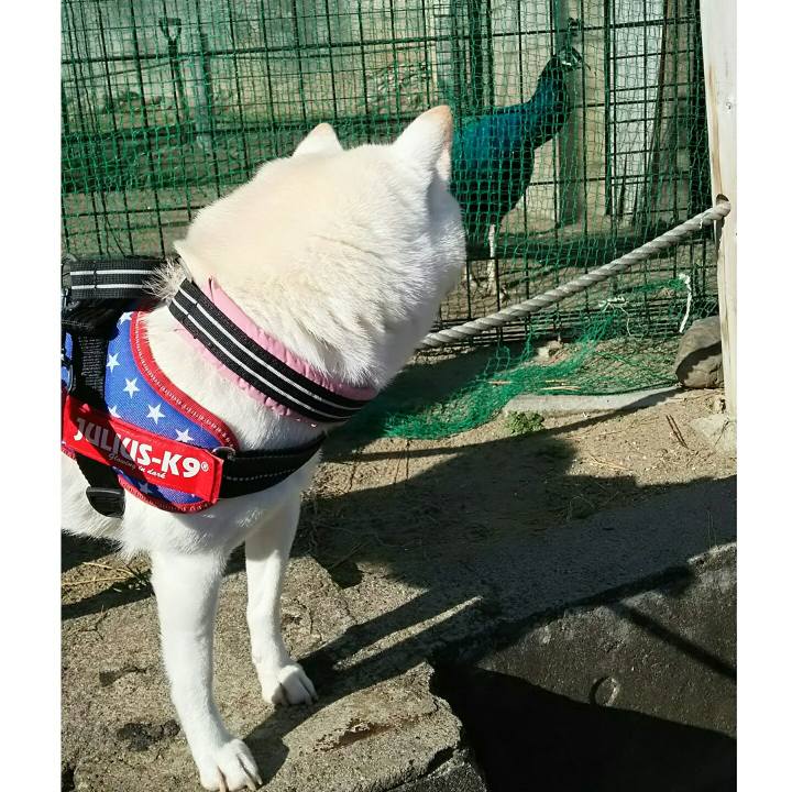 580f4b16 2105 4509 9ff8 7c9ab5c6bb48 1576466250337