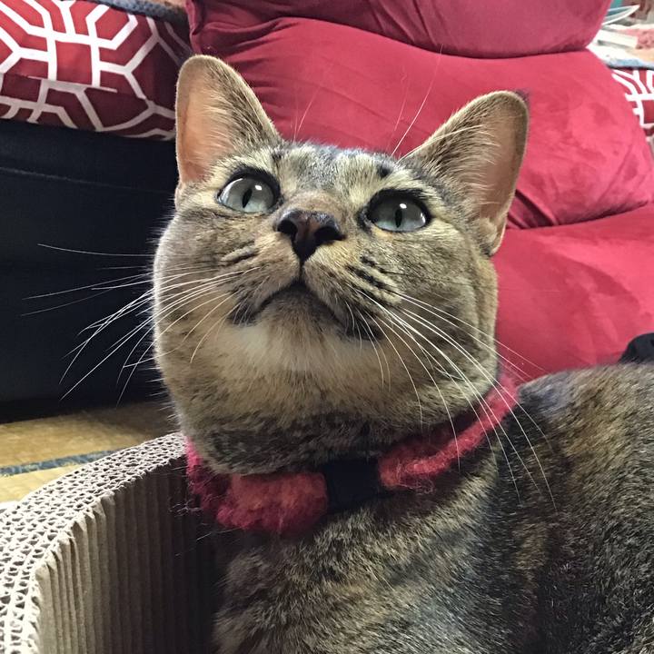 580f6967 7523 466c a258 3f6b0b2ea7b5 1602641288384